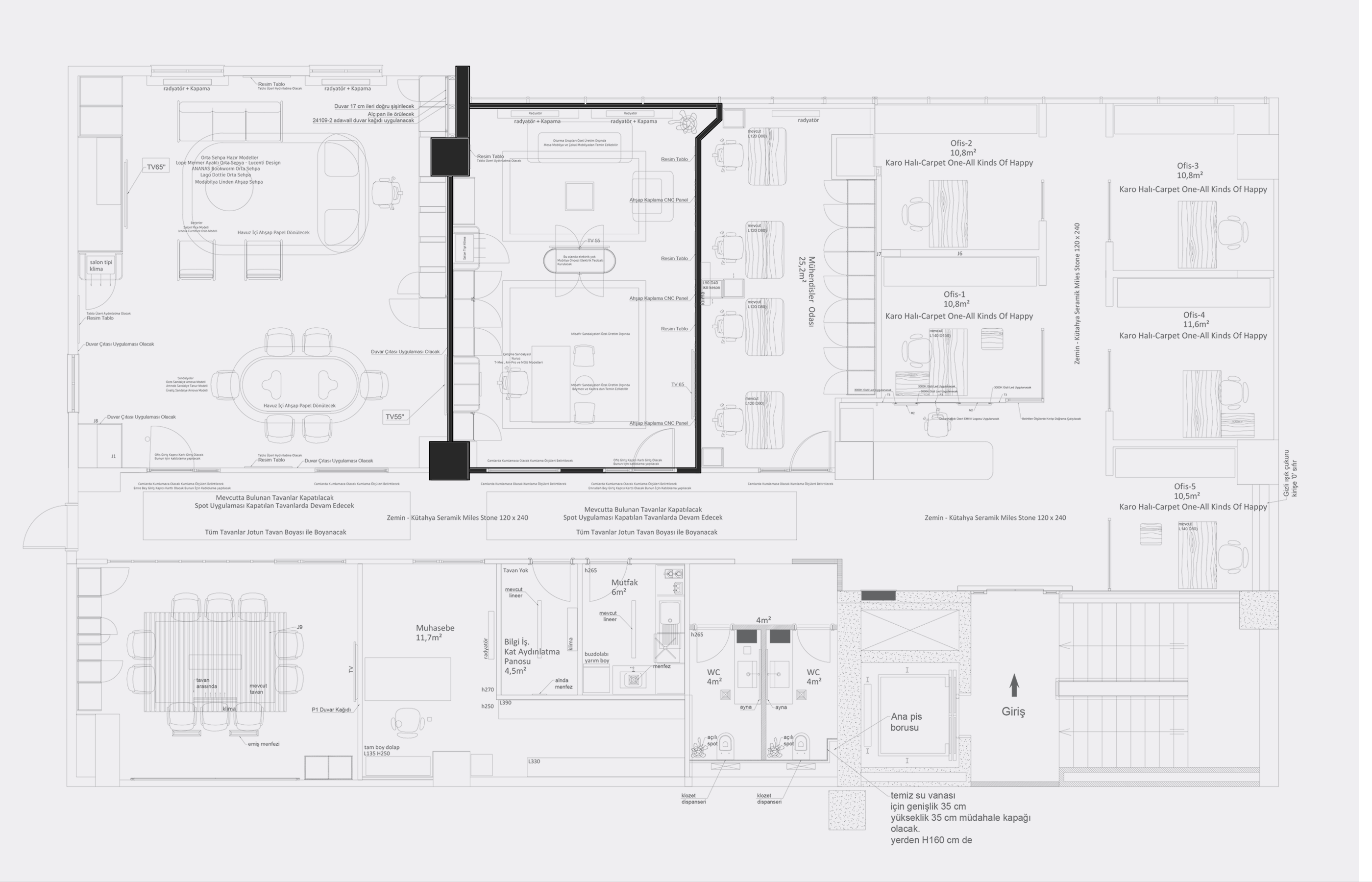 Project image